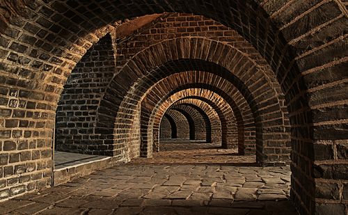 Vaulted Cellar